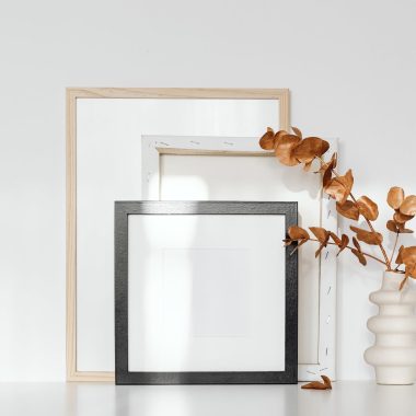 frames on light bcg
